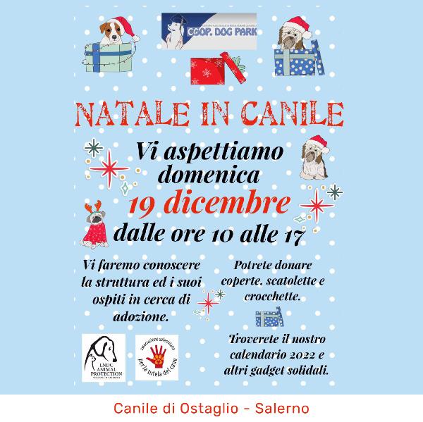 Natale in CanileNatale in Canile