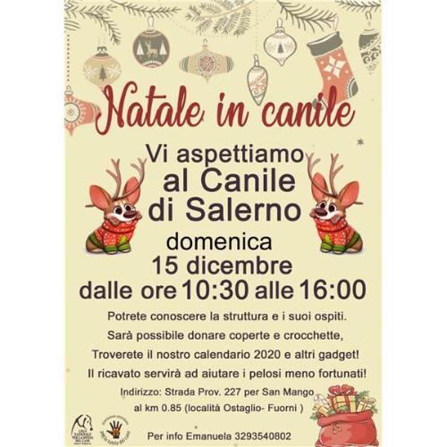 NATALE IN CANILE